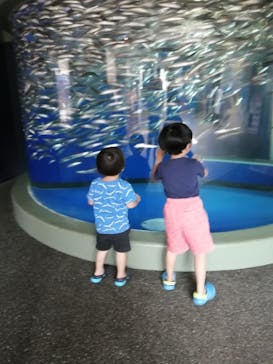 アクアワールド茨城県大洗水族館に投稿された画像（2020/8/1）