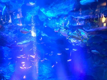 すみだ水族館に投稿された画像（2020/8/1）