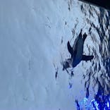 サンシャイン水族館に投稿された画像（2020/8/2）