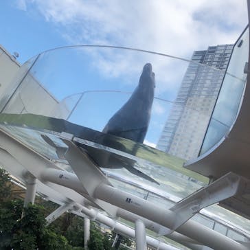 サンシャイン水族館に投稿された画像（2020/8/2）