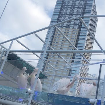 サンシャイン水族館に投稿された画像（2020/8/2）