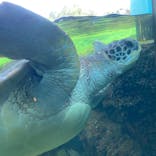 横浜・八景島シーパラダイスに投稿された画像（2020/8/2）