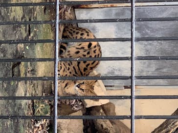 群馬サファリパークに投稿された画像（2020/8/2）