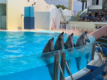 株式会社Gに投稿された画像（2020/8/2）