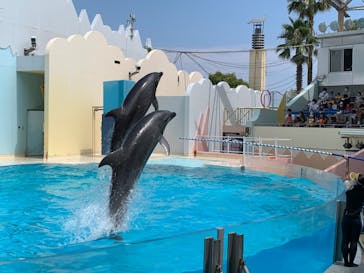 株式会社Gに投稿された画像（2020/8/2）