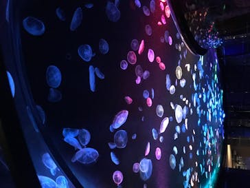 すみだ水族館に投稿された画像（2020/8/2）