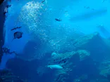 仙台うみの杜水族館に投稿された画像（2020/8/2）