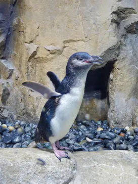 仙台うみの杜水族館に投稿された画像（2020/8/2）