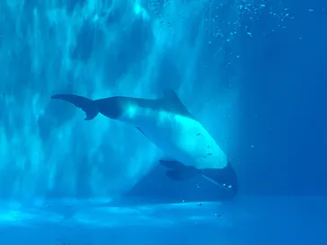 仙台うみの杜水族館に投稿された画像（2020/8/2）