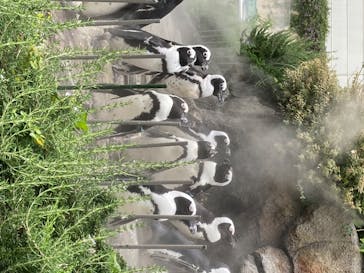 サンシャイン水族館に投稿された画像（2020/8/2）