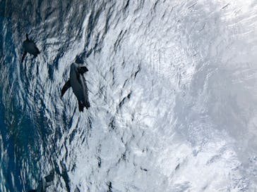 サンシャイン水族館に投稿された画像（2020/8/2）