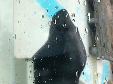 サンシャイン水族館に投稿された画像（2020/8/2）