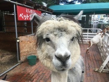 としまえんに投稿された画像（2020/8/2）