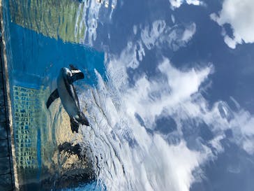 サンシャイン水族館に投稿された画像（2020/8/2）