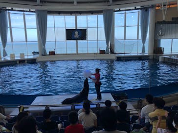 アクアワールド茨城県大洗水族館に投稿された画像（2020/8/2）