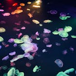 すみだ水族館に投稿された画像（2020/8/2）