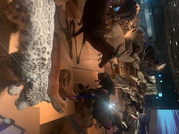 国立科学博物館に投稿された画像（2020/8/2）