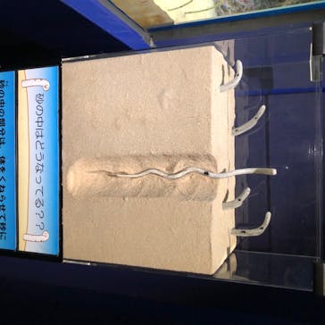 アクアワールド茨城県大洗水族館に投稿された画像（2020/8/2）