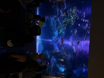 すみだ水族館に投稿された画像（2020/8/2）