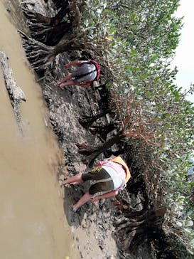 アイランドサービスに投稿された画像（2020/8/2）