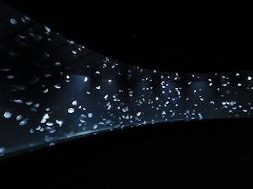 サンシャイン水族館に投稿された画像（2020/8/2）