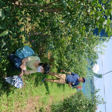 果実の里 原田農園に投稿された画像（2020/8/2）