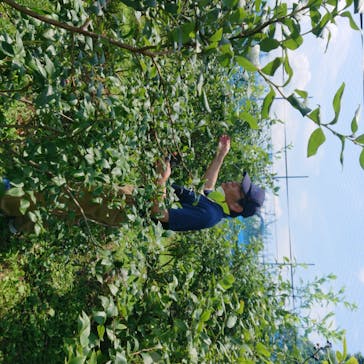 果実の里 原田農園に投稿された画像（2020/8/2）