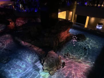 すみだ水族館に投稿された画像（2020/8/2）