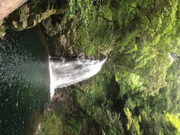 赤目四十八滝エコツアーデスクに投稿された画像（2020/8/2）