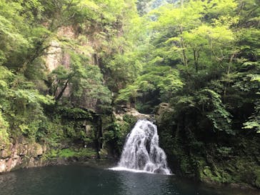 赤目四十八滝エコツアーデスクに投稿された画像（2020/8/2）
