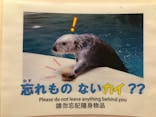 鳥羽水族館に投稿された画像（2020/8/2）