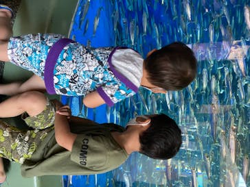 アクアワールド茨城県大洗水族館に投稿された画像（2020/8/2）