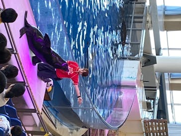 アクアワールド茨城県大洗水族館に投稿された画像（2020/8/2）