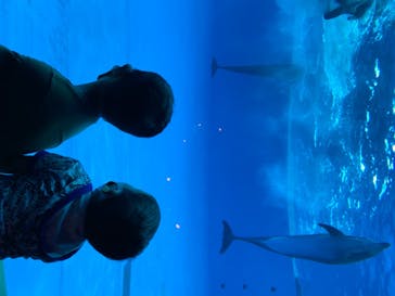 アクアワールド茨城県大洗水族館に投稿された画像（2020/8/2）