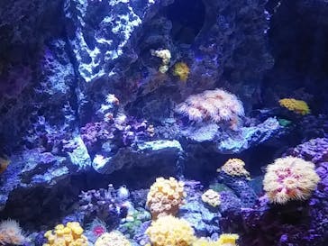 株式会社Gに投稿された画像（2020/8/2）