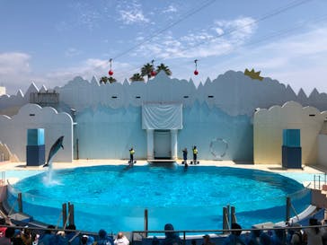 株式会社Gに投稿された画像（2020/8/3）