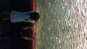 株式会社Gに投稿された画像（2020/8/3）