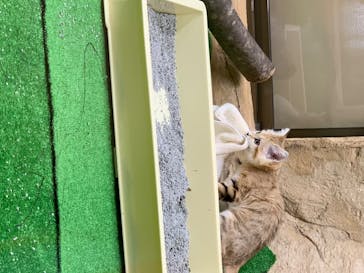 那須どうぶつ王国に投稿された画像（2020/8/3）