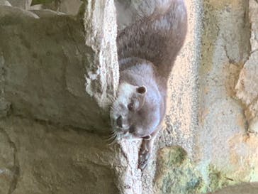 那須どうぶつ王国に投稿された画像（2020/8/3）