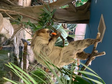 那須どうぶつ王国に投稿された画像（2020/8/3）