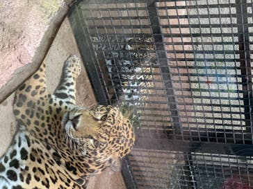 那須どうぶつ王国に投稿された画像（2020/8/3）