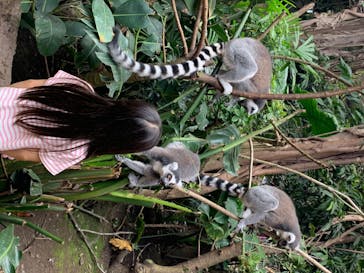 那須どうぶつ王国に投稿された画像（2020/8/3）