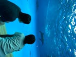 アクアワールド茨城県大洗水族館に投稿された画像（2020/8/3）