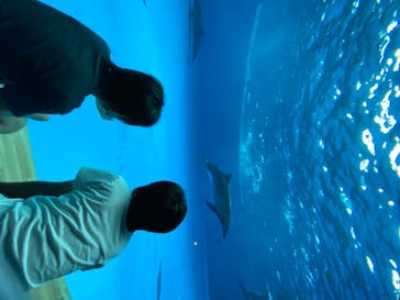 アクアワールド茨城県大洗水族館に投稿された画像（2020/8/3）