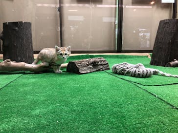 那須どうぶつ王国に投稿された画像（2020/8/3）