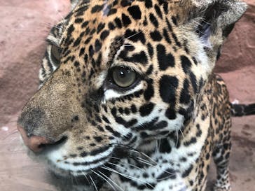 那須どうぶつ王国に投稿された画像（2020/8/3）