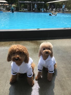 わんダフルネイチャーヴィレッジに投稿された画像（2020/8/3）