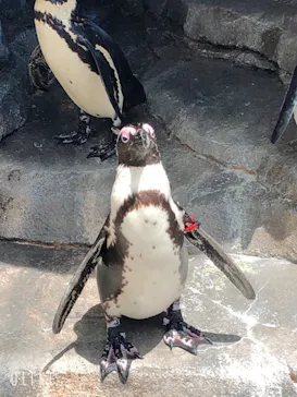 仙台うみの杜水族館に投稿された画像（2020/8/3）