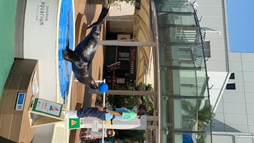 サンシャイン水族館に投稿された画像（2020/8/3）