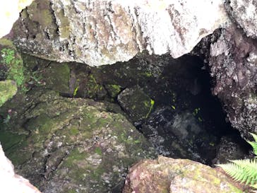 鬼押出し園に投稿された画像（2020/8/3）